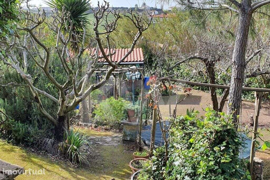 Terreno de 740m2 com Projeto Aprovado para Moradia T4 com piscina em M - Grande imagem: 5/13