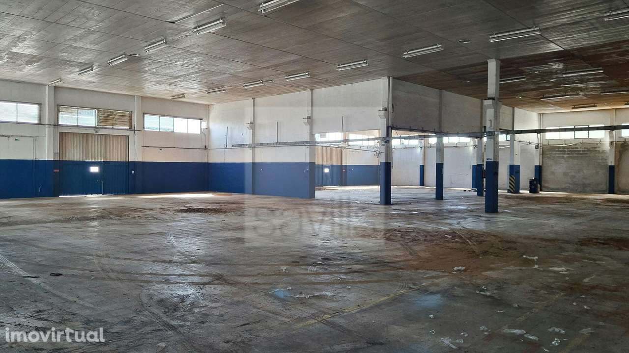 Armazém e escritórios | Massamá-Queluz - Grande imagem: 2/13