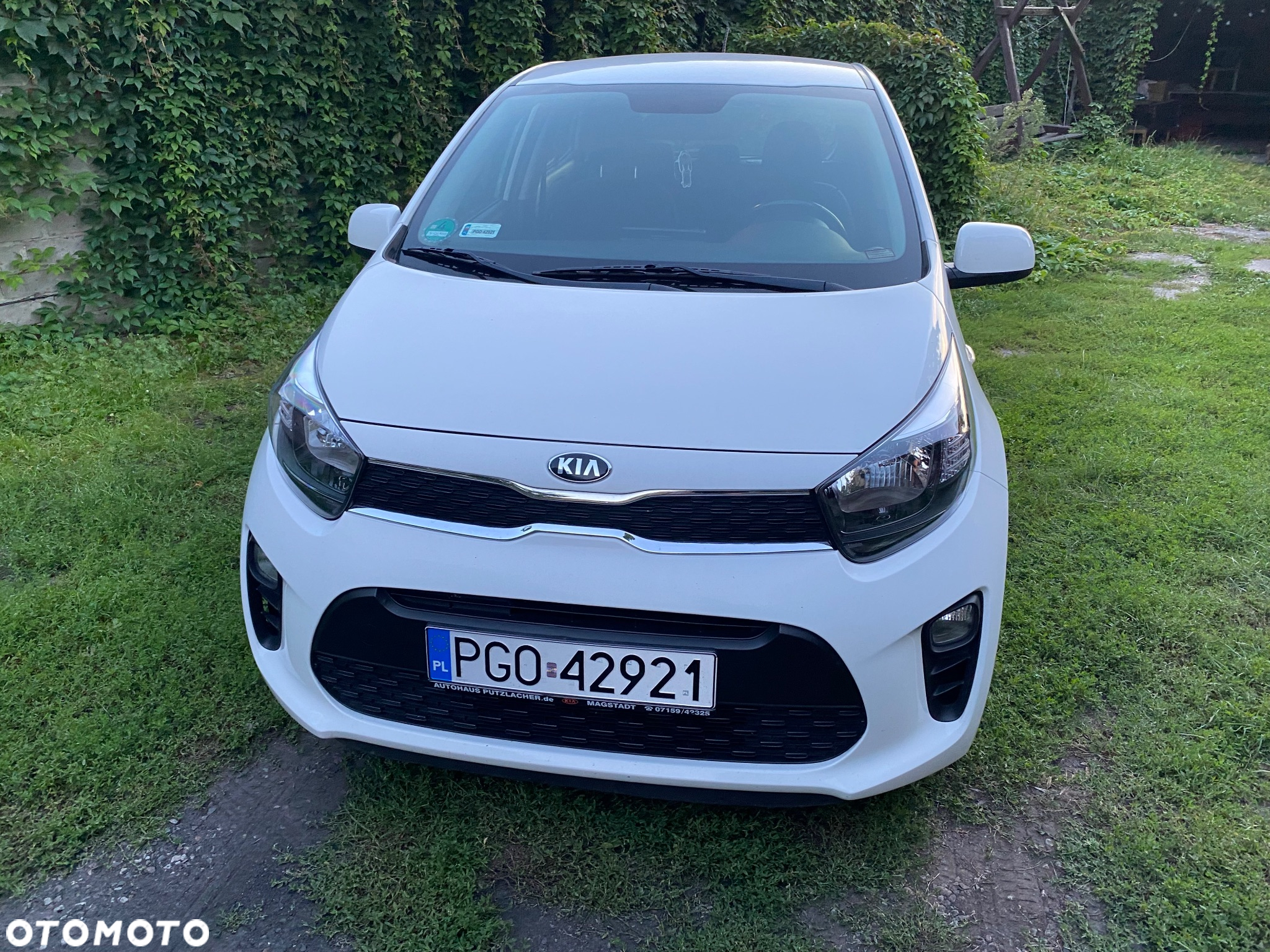 Kia Picanto - 2
