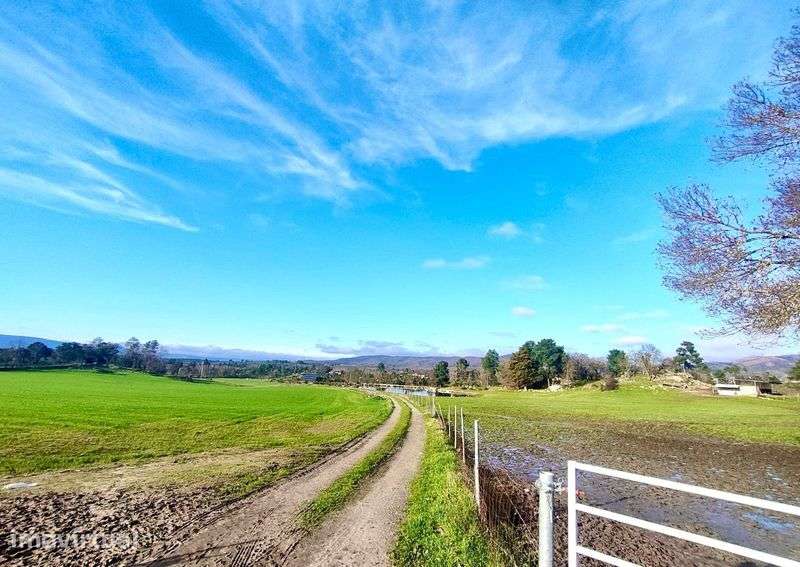 Quinta de 60 ha – Um refúgio natural com potencial ilimitado - Grande imagem: 2/12