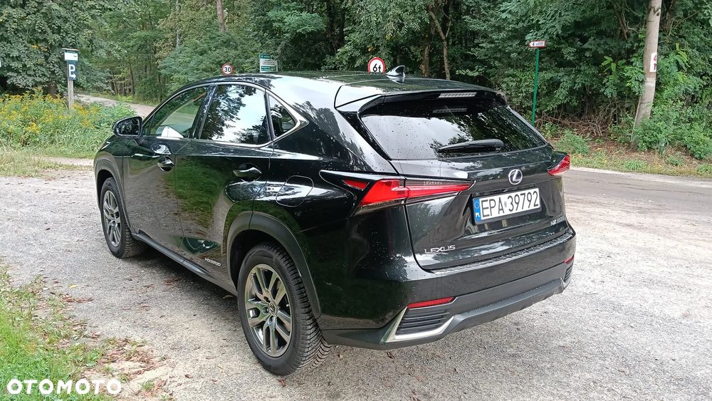 Lexus NX - 4