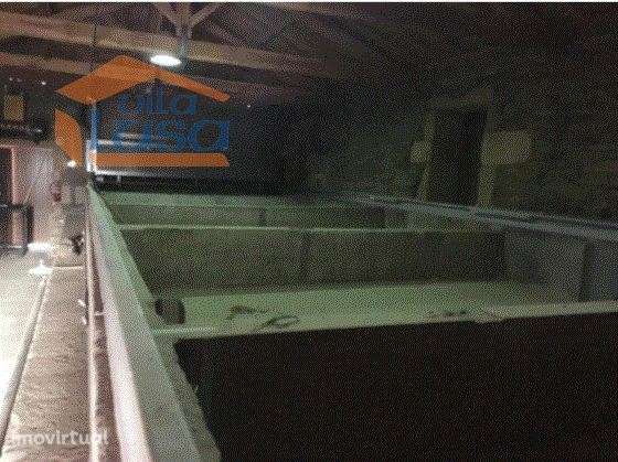 Quinta no Douro Superior 70 ha. - Grande imagem: 3/11