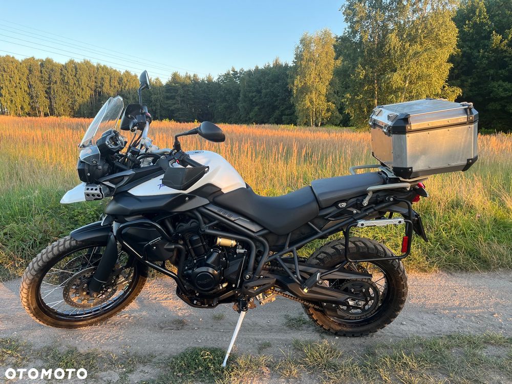 Triumph Tiger - 15