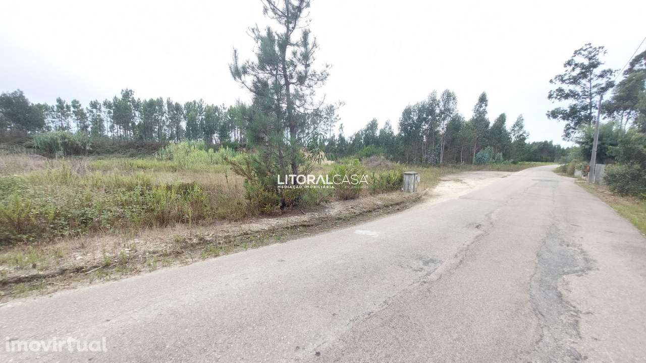 Lote de terreno p/ construção | Carregal - Grande imagem: 4/4