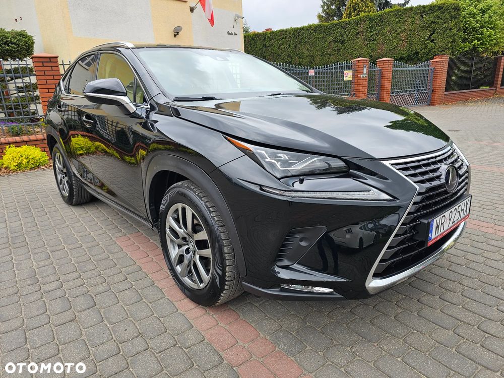 Lexus NX 300h Elegance 2WD - 34