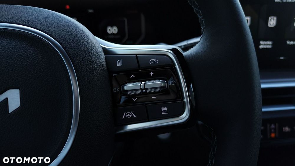 Kia Sorento - 17