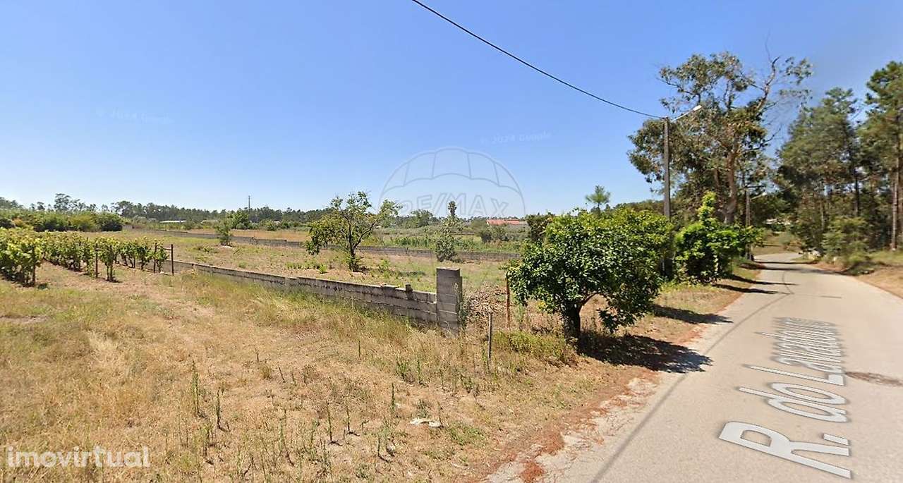 Terreno  para arrendamento - Grande imagem: 4/5