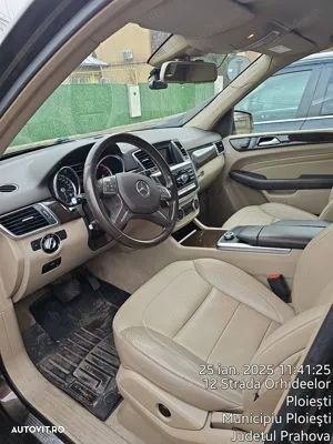 Mercedes-Benz ML 250 BlueTec 4MATIC Aut - 6
