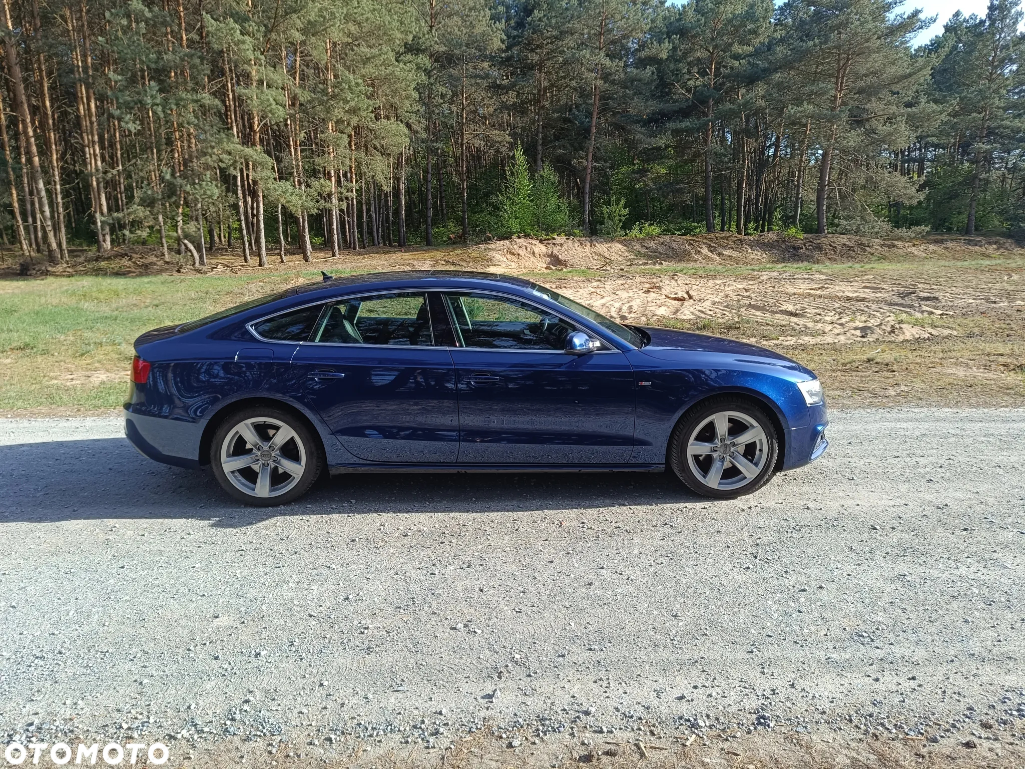 Audi A5 2.0 TDI Sportback DPF - 8