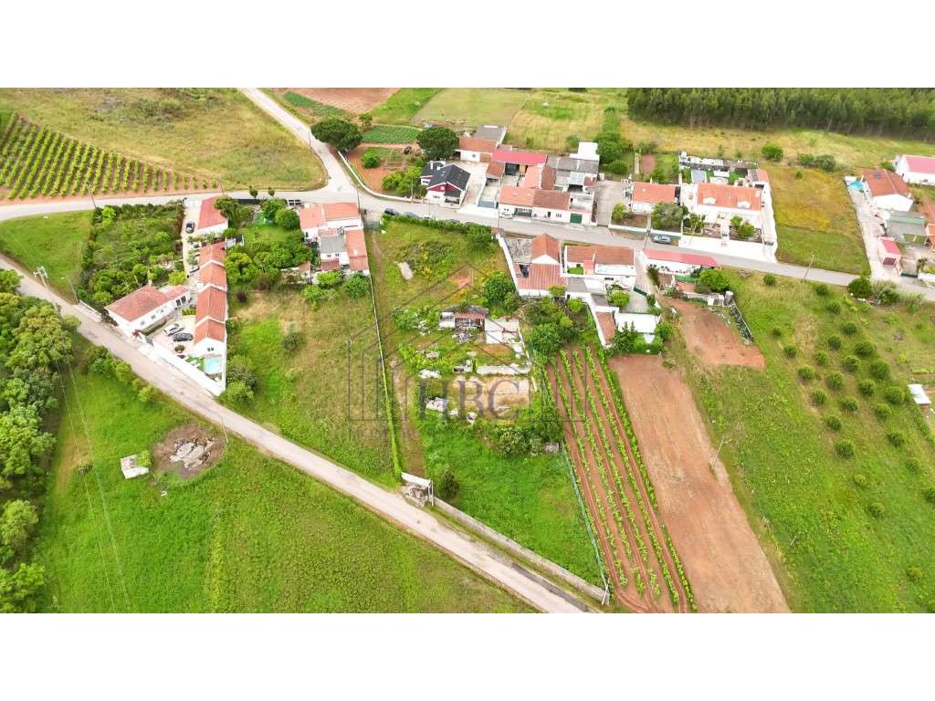 Terreno com Potencial de Construção e Vista Serra de Montejunto - B... - Grande imagem: 5/16
