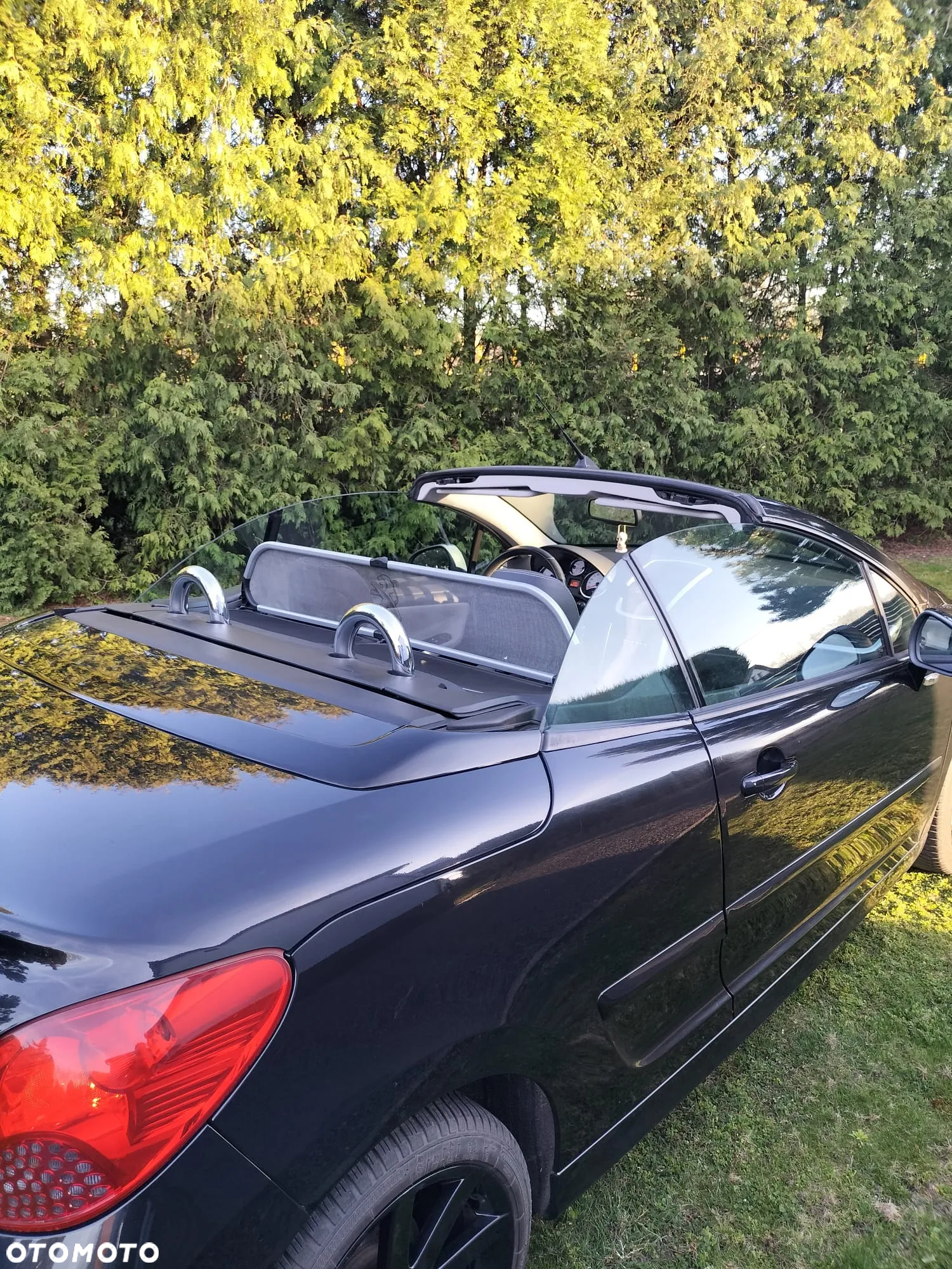 Peugeot 207 CC FAP 110 (Blue Lion) Roland Garros - 8