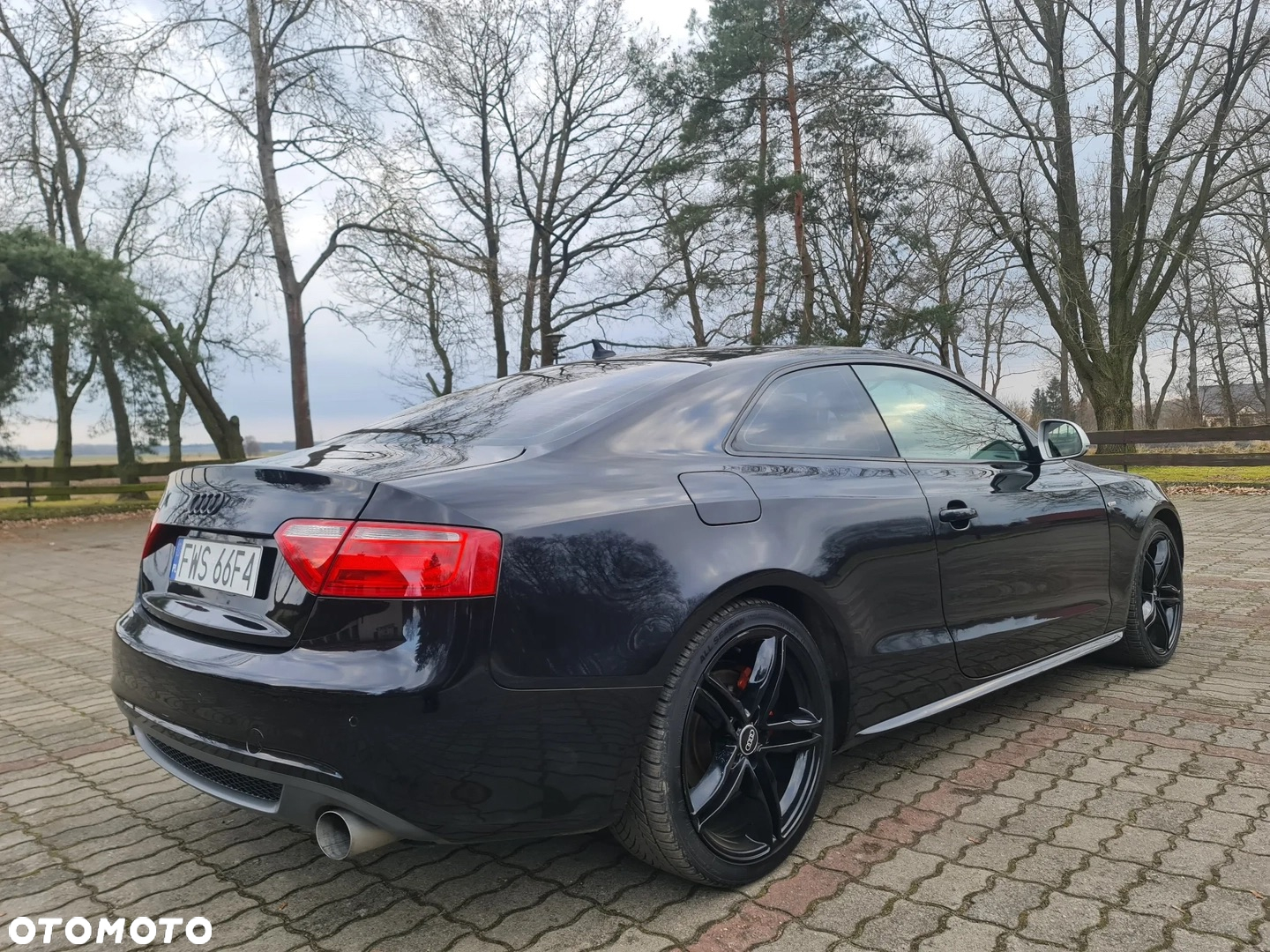 Audi A5 Cabrio 3.0 TDI DPF (clean diesel) quat S tron - 6