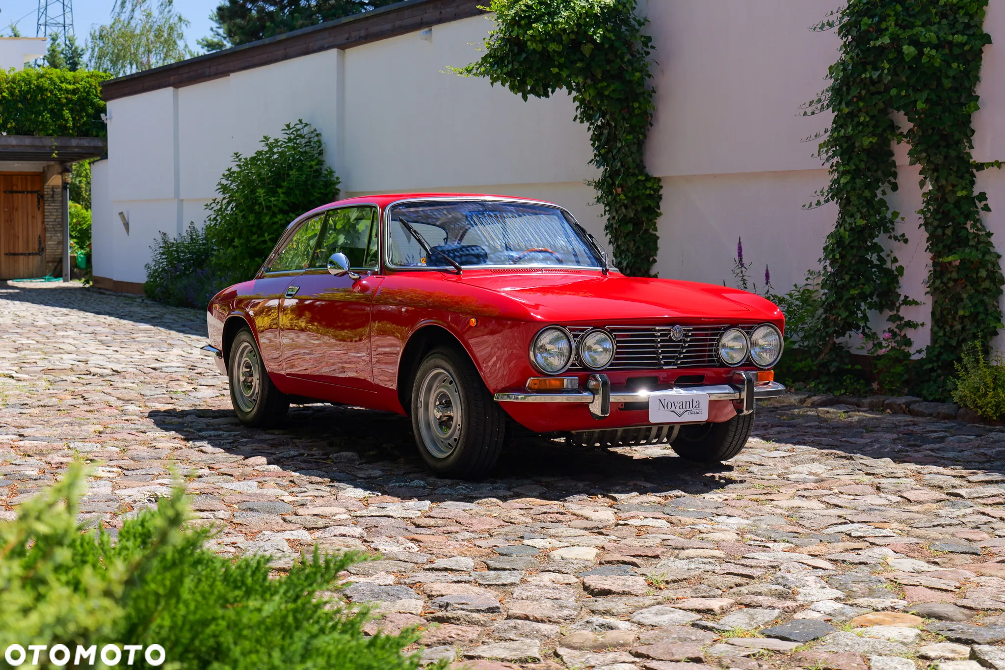 Alfa Romeo GT - 5