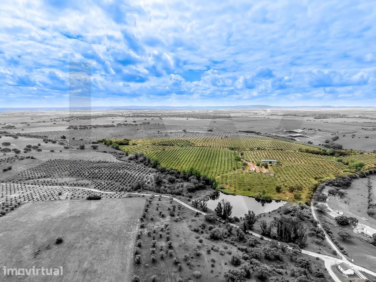 Herdade das Barreiras Brancas | 8 Hectares em Fronteira, Alto Alentejo - Grande imagem: 2/27