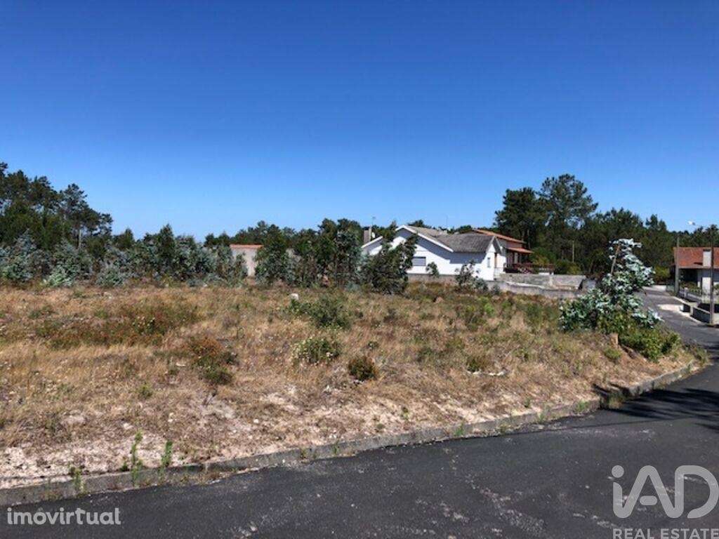 Terreno Agrícola em Marinha Grande - Grande imagem: 5/14