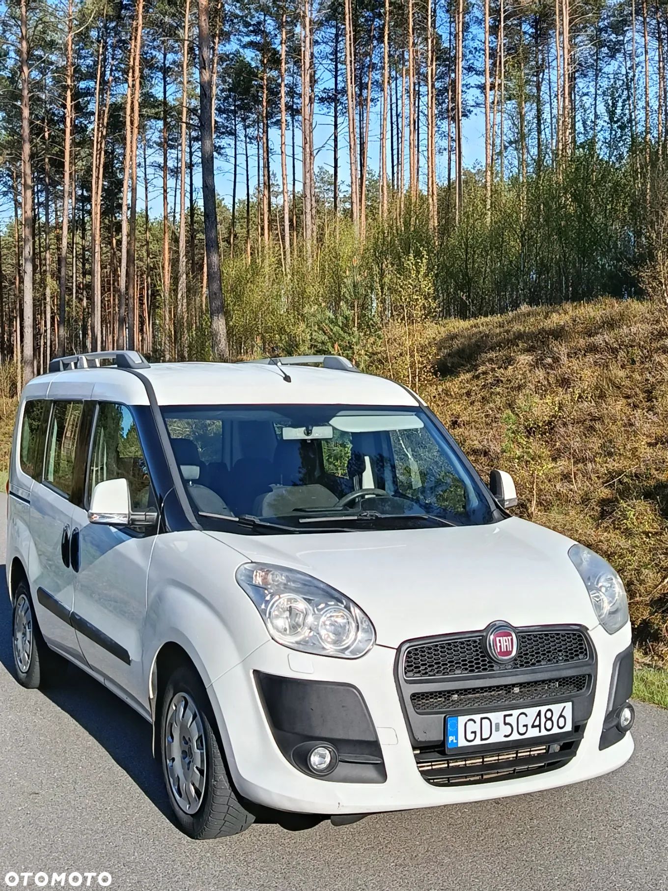 Fiat Doblo - 1