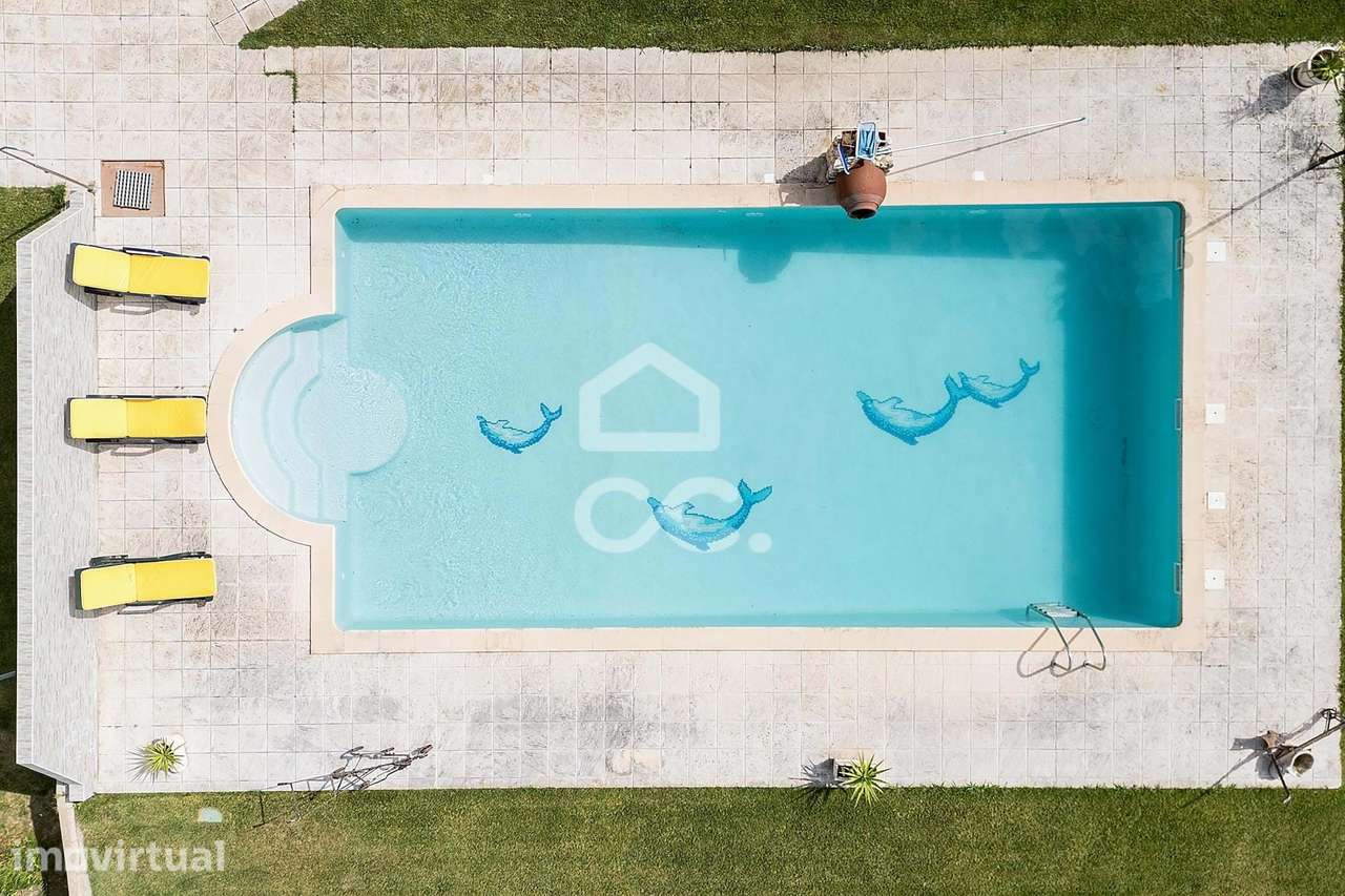 Quinta de Charme de 5250m2 c/ Moradia T3 e Piscina | Amareleja - Grande imagem: 3/60
