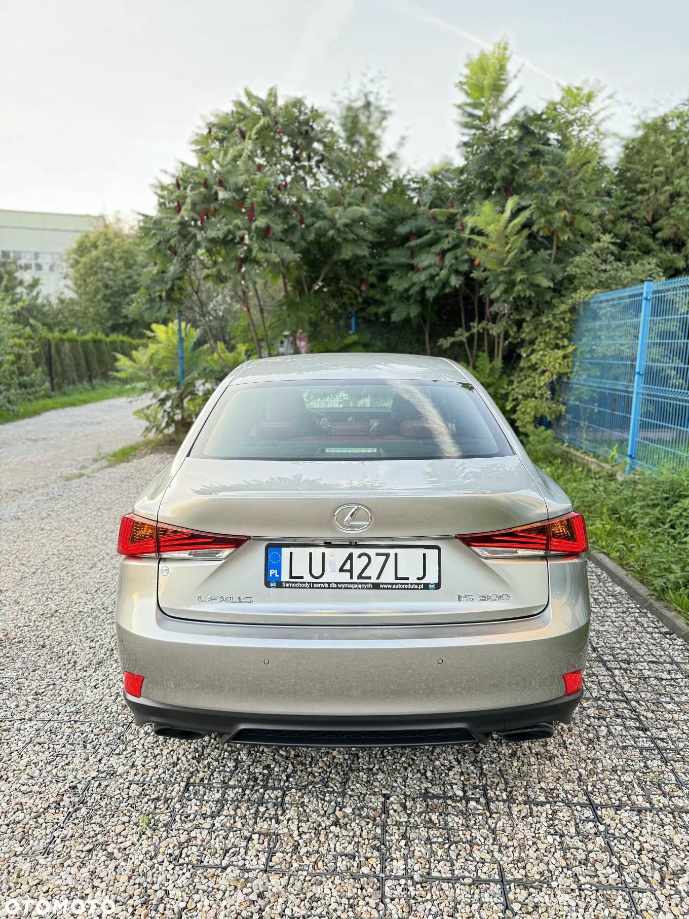 Lexus IS 200t / 300 F Sport - 4