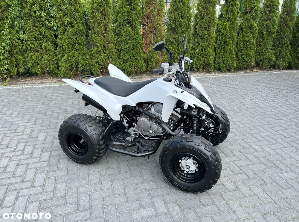 Yamaha Raptor - 6