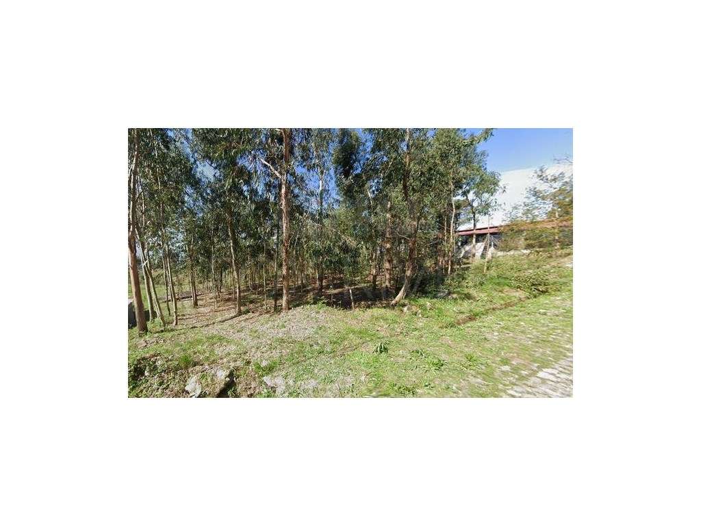 Terreno para construção em Picões, Valença - Grande imagem: 3/5