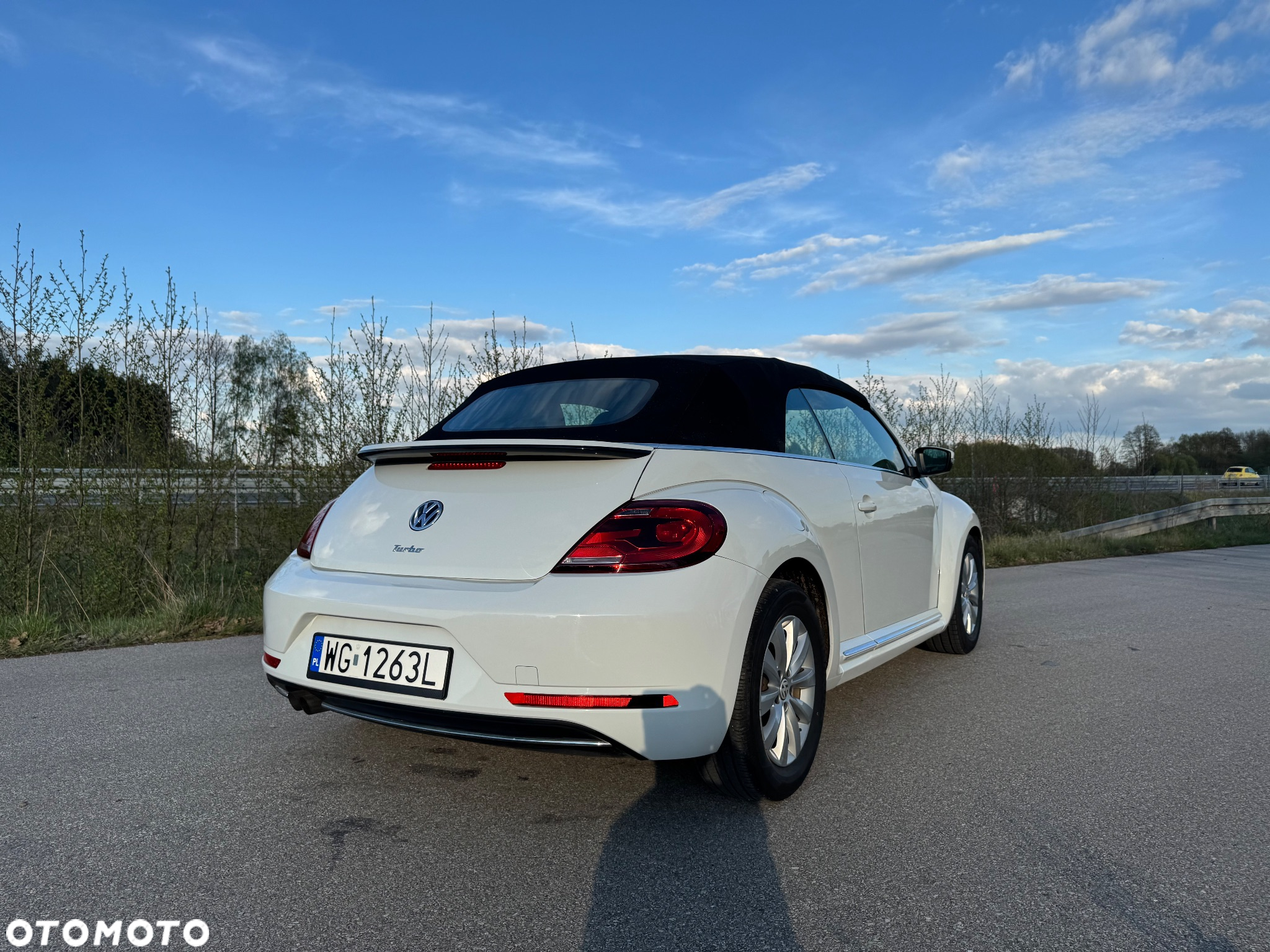 Volkswagen Beetle - 8