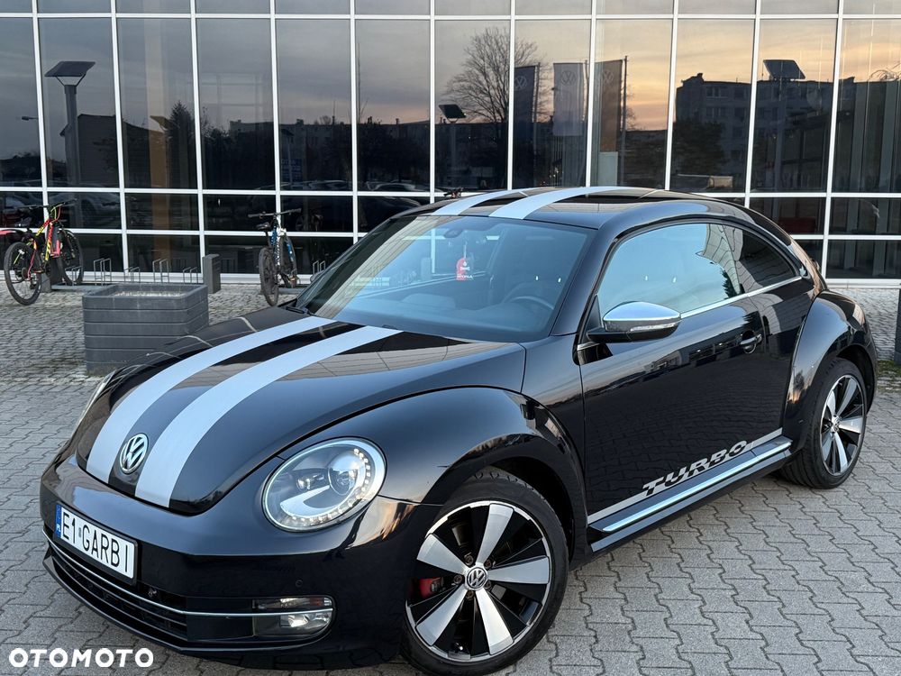 Volkswagen Beetle - 8