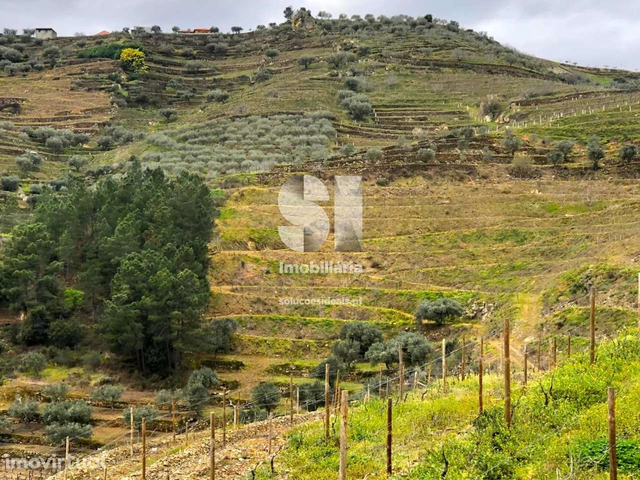 Terreno em Murça - Grande imagem: 4/31