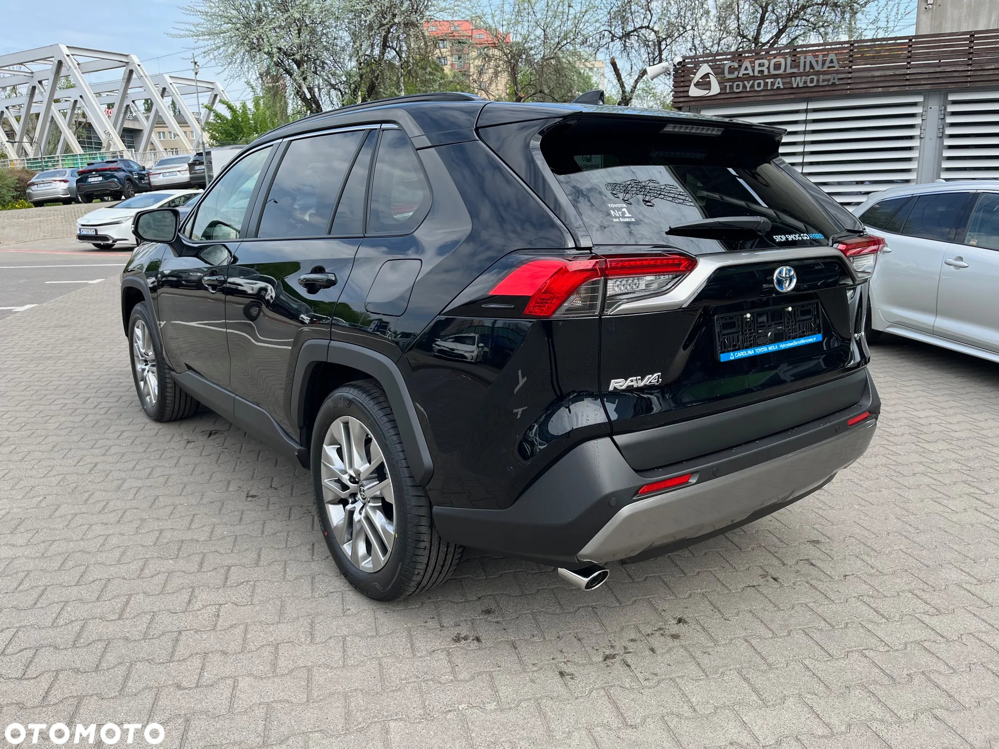 Toyota RAV4 2.5 Hybrid Executive 4x4 - 6