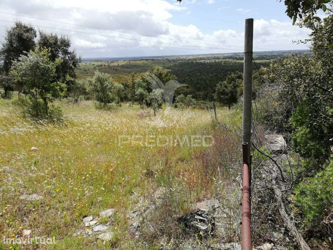 Terreno Rústico em Montalvão - Grande imagem: 2/5