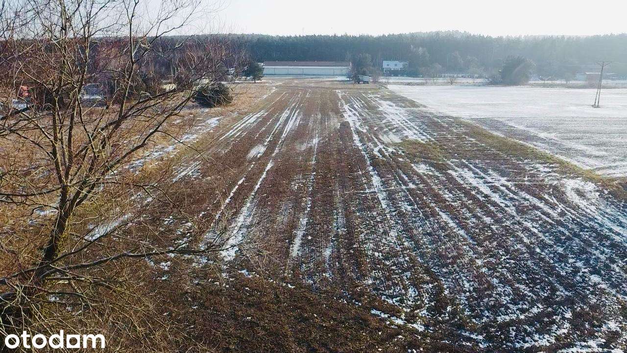 Na sprzedaż działki budowlane z WZ – Jordanowo (woj. lubuskie) - Pełny obrazek: 4/9