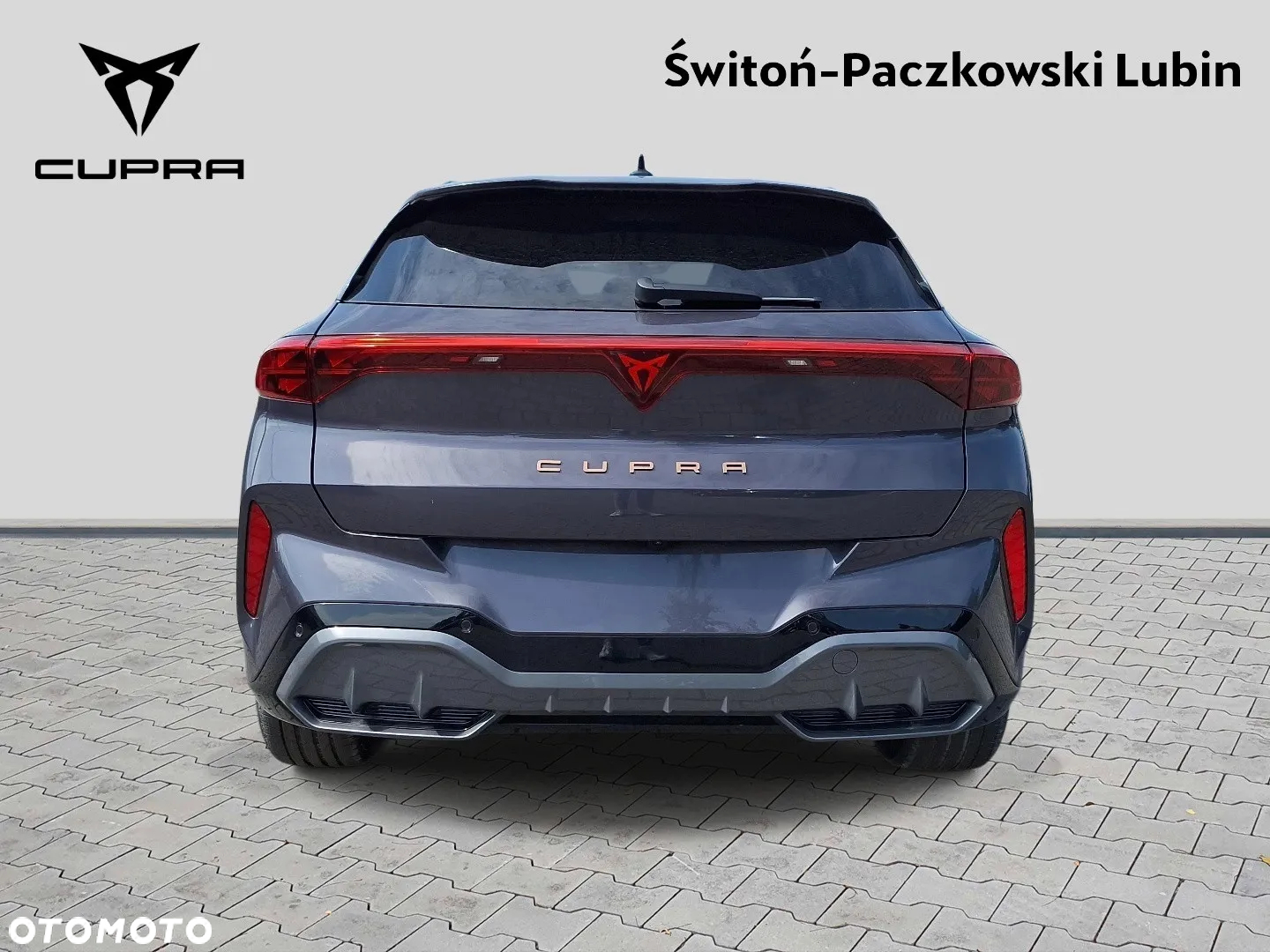 Cupra Terramar - 5