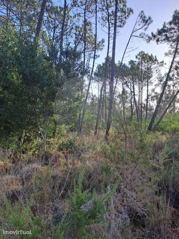 Terreno  para venda - Grande imagem: 2/5