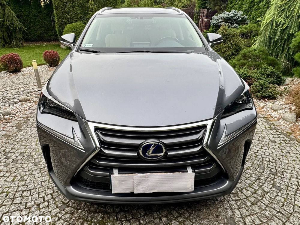 Lexus NX 300h Comfort AWD - 3