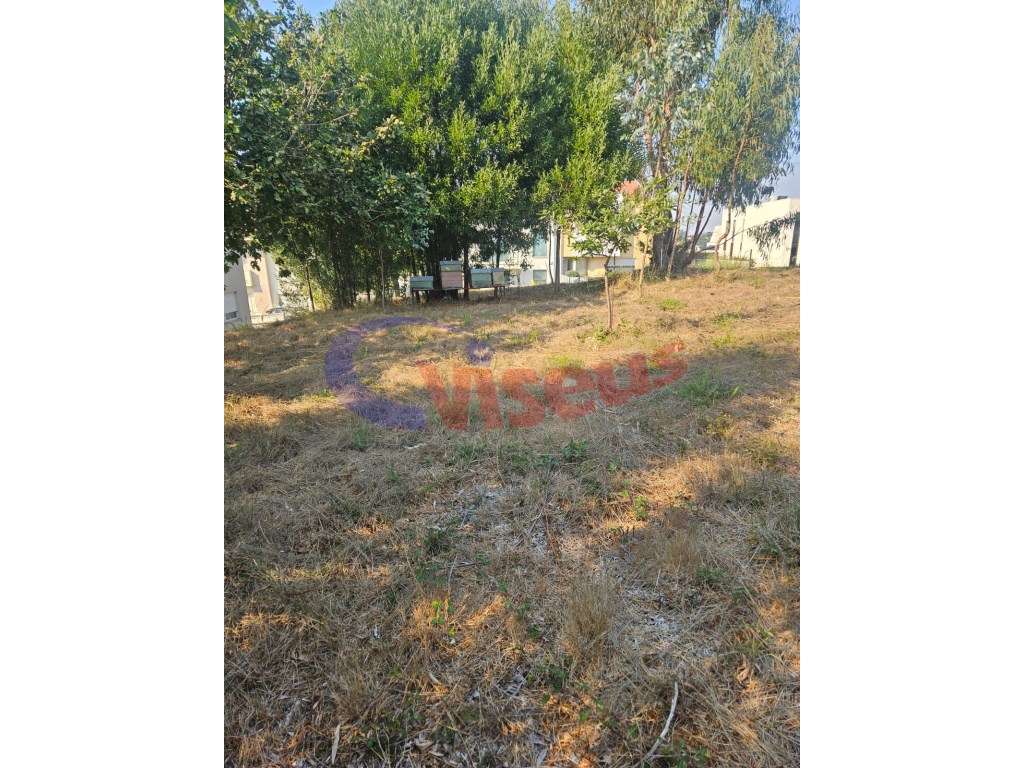 Terreno Moradia 3 Frentes Pedroso - Grande imagem: 4/9