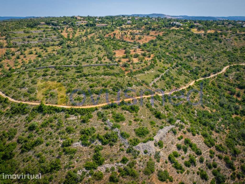 Terreno Rústico com 6000m2 com Vista Panorâmica sobre o Campo e o M... - Grande imagem: 3/24