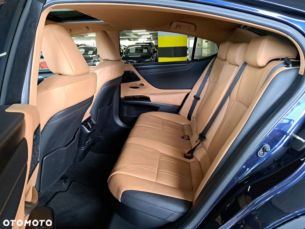 Lexus ES 300h Prestige - 14