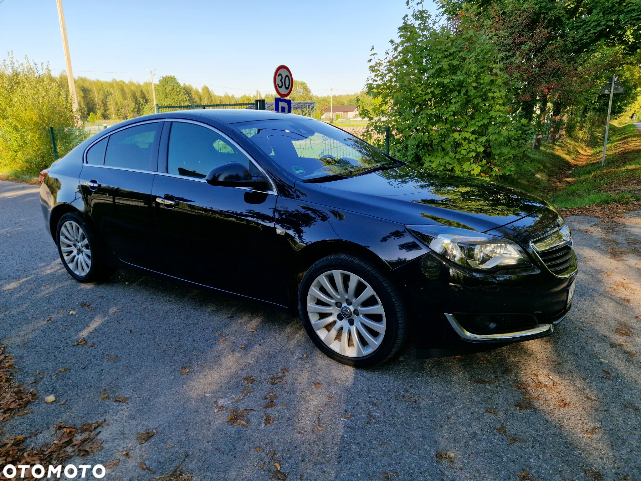 Opel Insignia 2.0 Bi Turbo CDTI 4x4 Country Tourer - 8