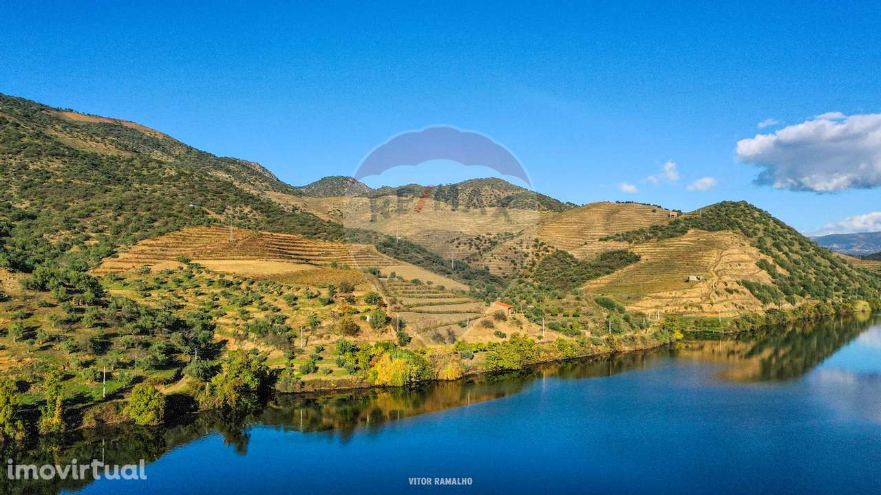 Quinta T5 para venda - Grande imagem: 3/31