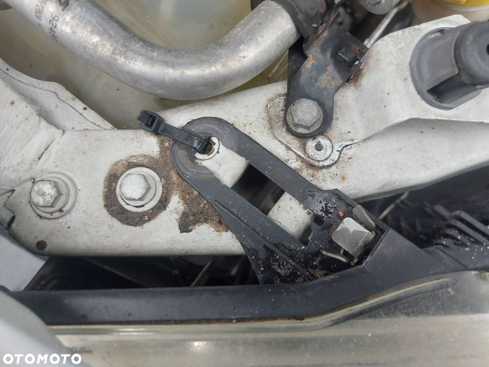 KOMPLETNY PRZÓD LAMPA BŁOTNIK MASKA ZDERZAK RENAULT MEGANE III OV369 - 10