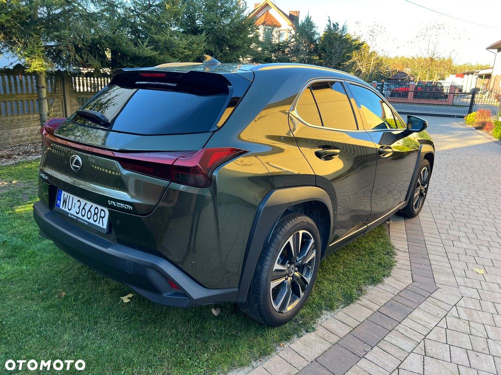 Lexus UX 250h GPF Business Edition 2WD - 18