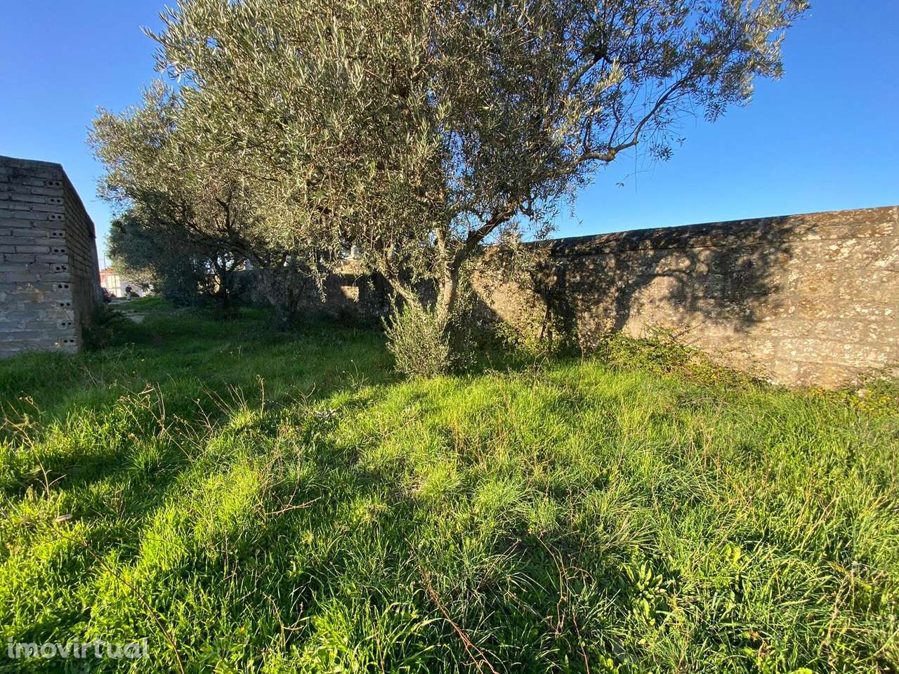 Urban land/Land em Guarda, Celorico Da Beira REF:734 - Grande imagem: 3/11