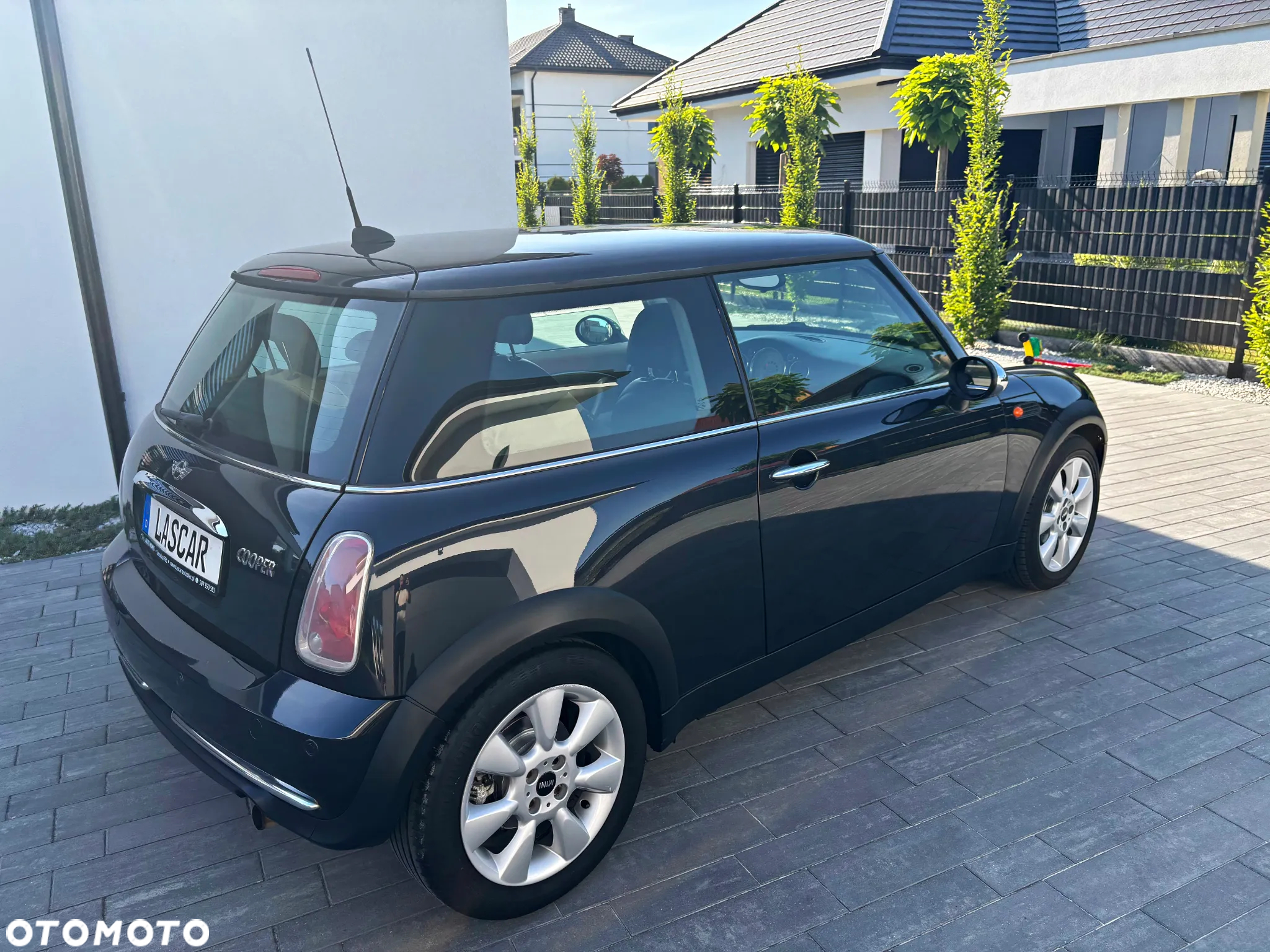 MINI Cooper pepper - 19