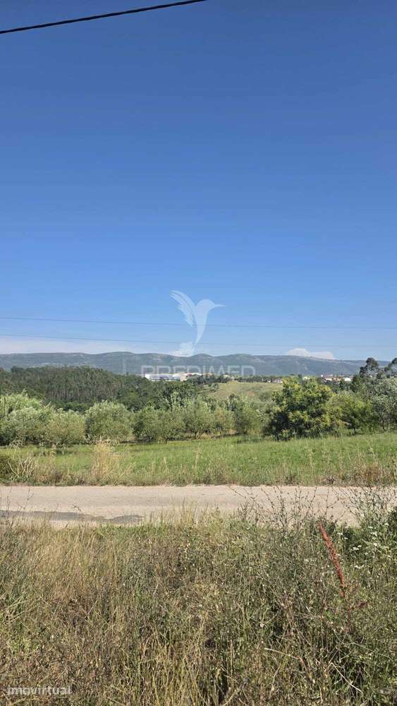 Terreno em Aljubarrota para comprar - Grande imagem: 2/6