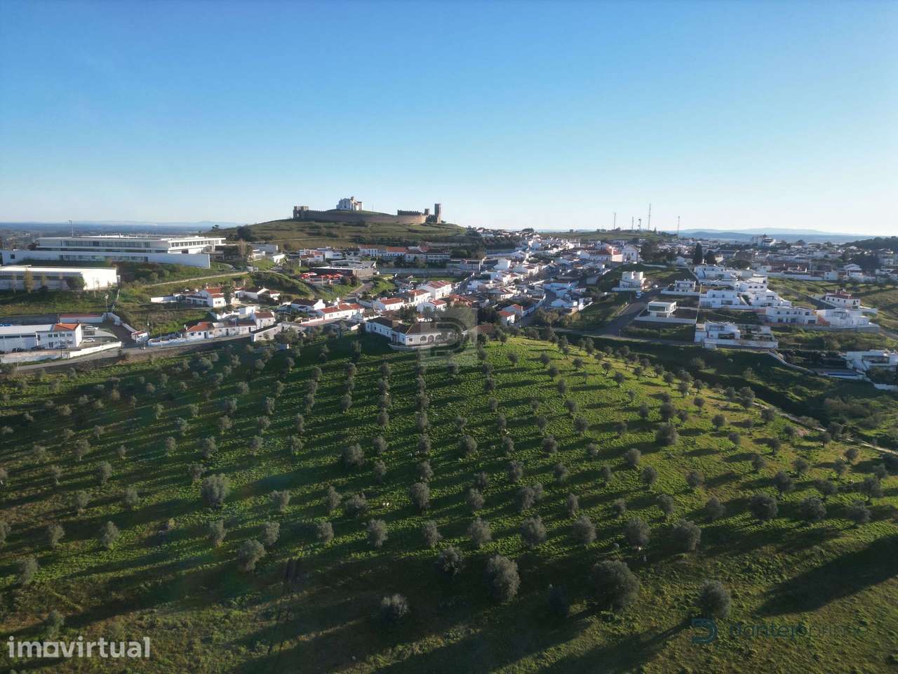Herdade 11 ha junto ao Castelo de Arraiolos - Grande imagem: 3/20