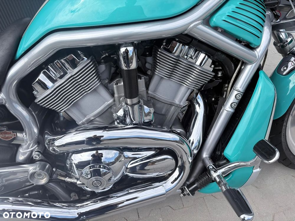 Harley-Davidson Softail V-Rod - 22