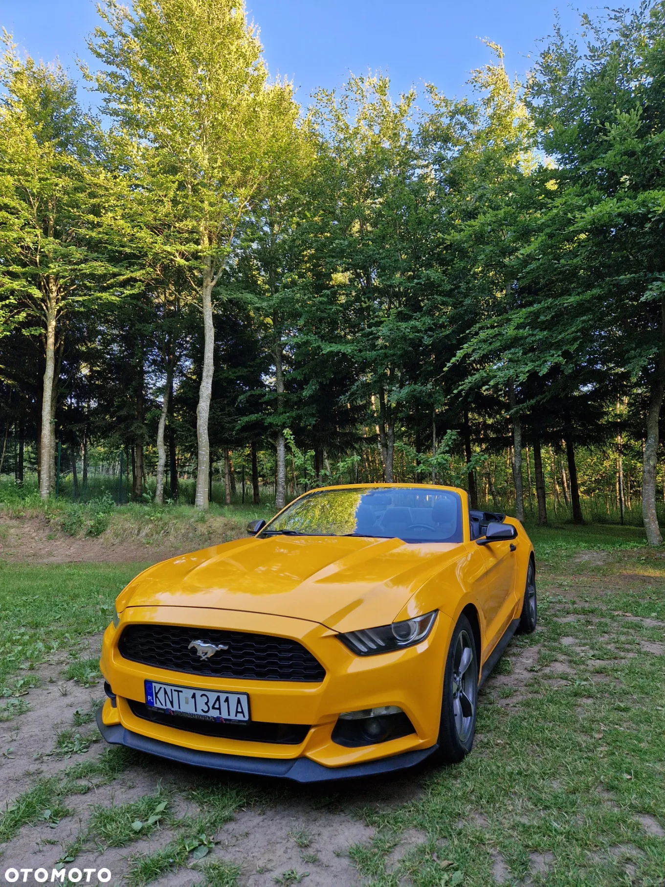Ford Mustang 3.7 V6 - 6