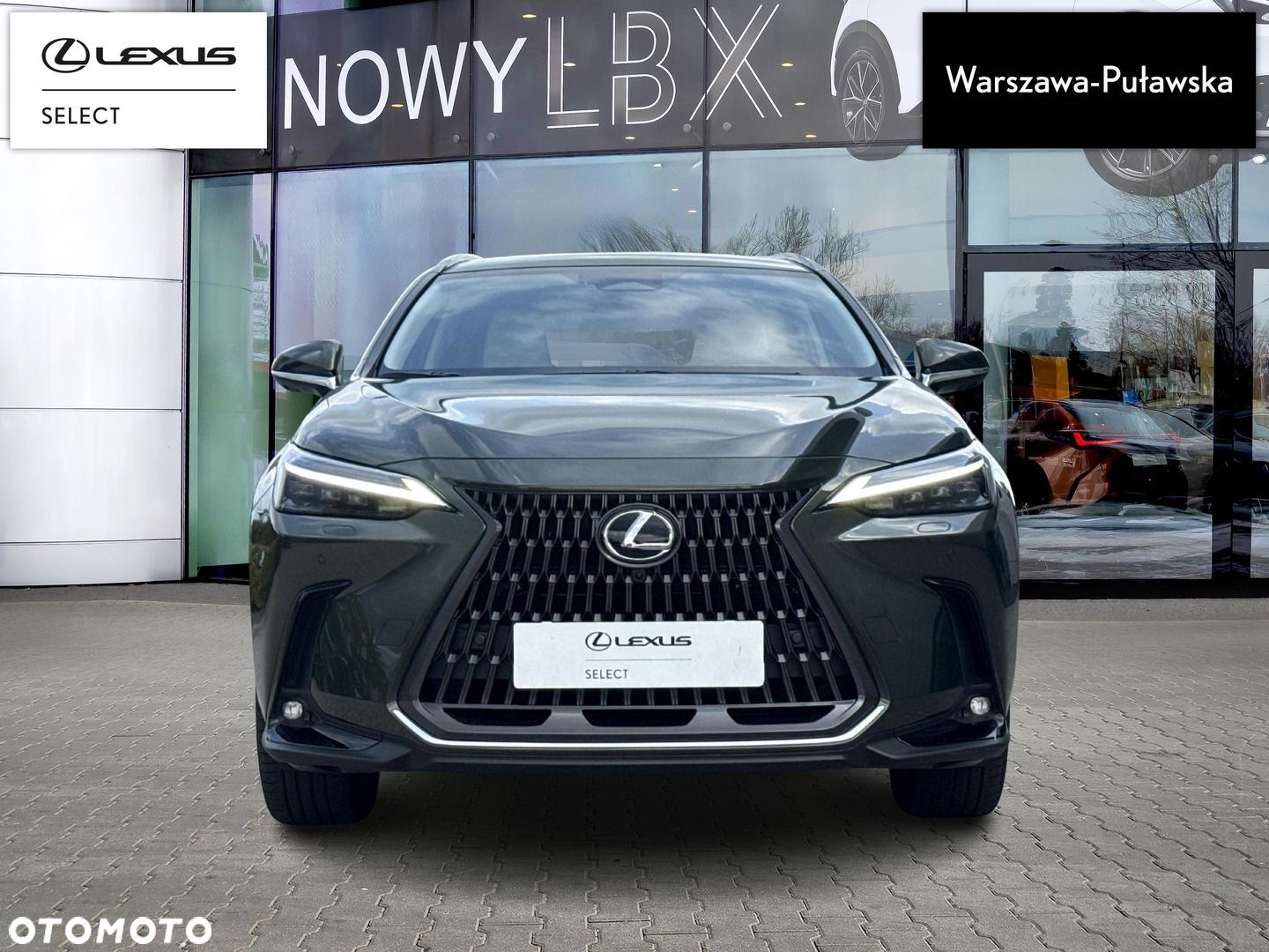 Lexus NX - 6