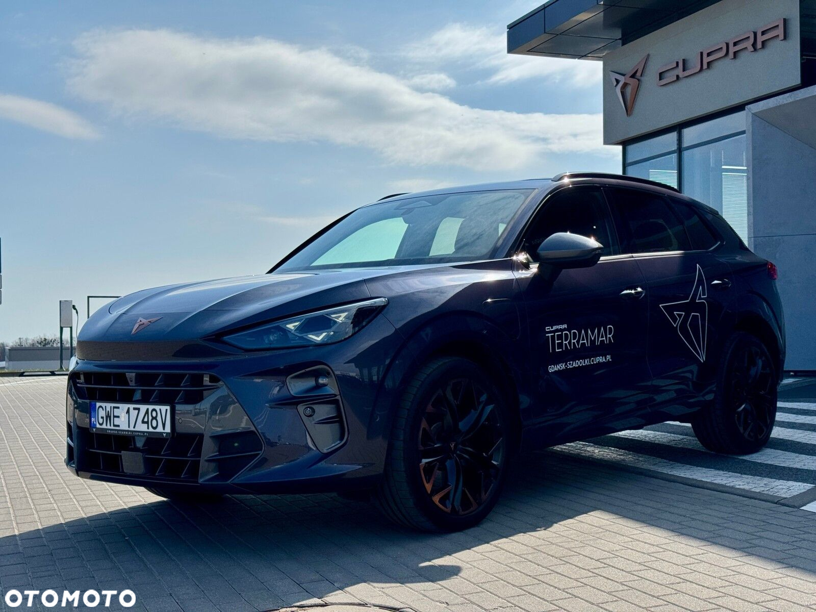 Cupra Terramar - 4