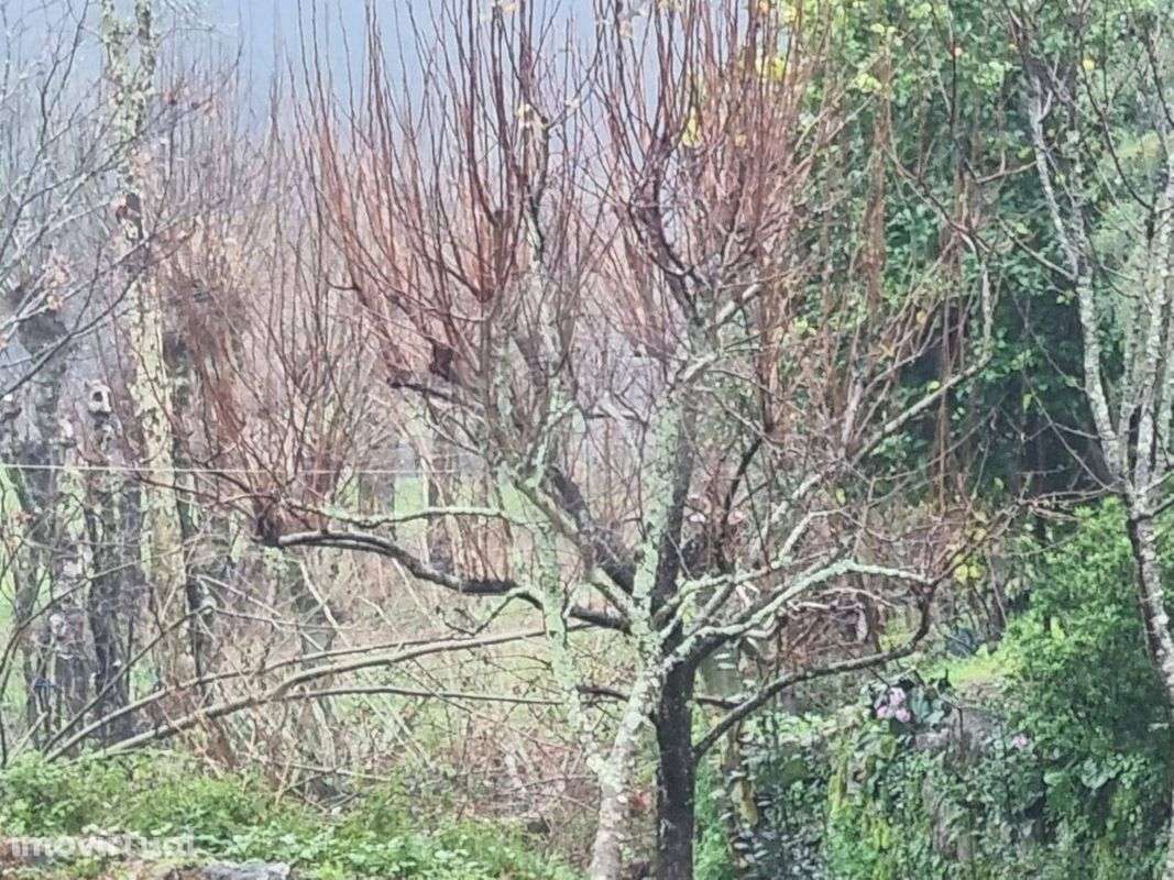 Terreno  para venda - Grande imagem: 2/5