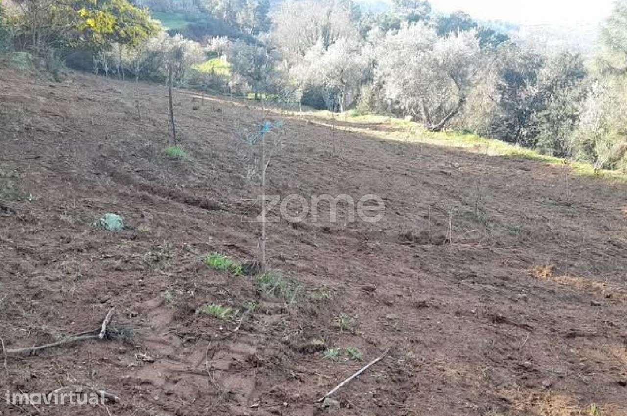Terreno rústico com boa localização e vista sobre a cidade de Chave... - Grande imagem: 2/8